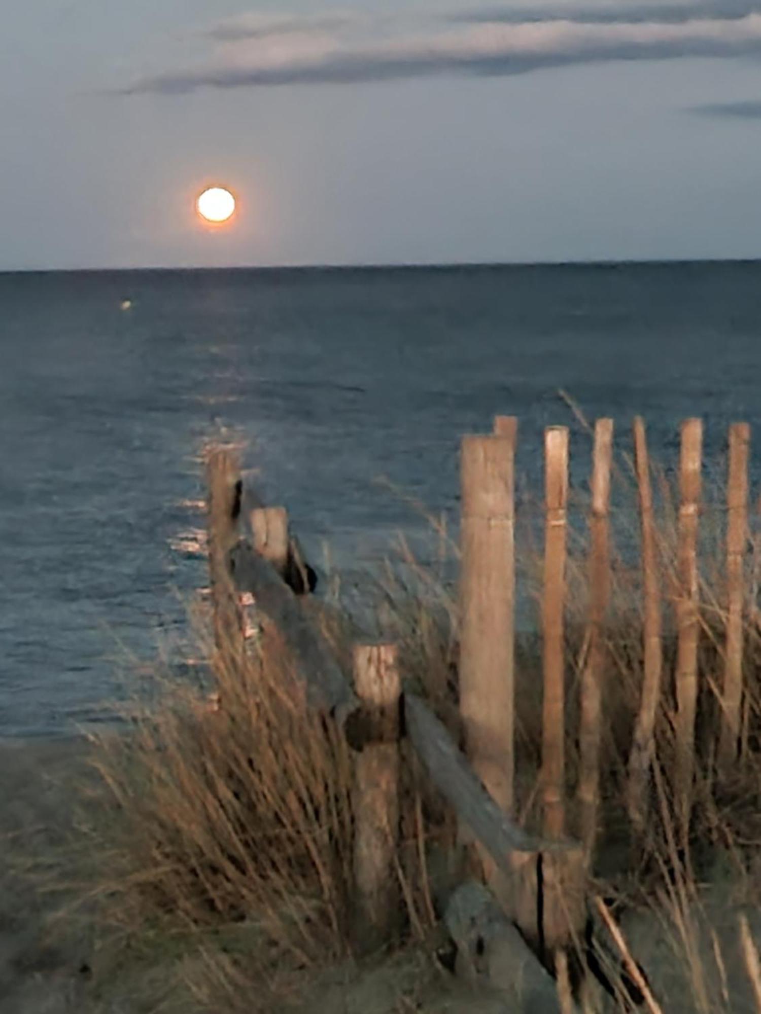 Torreilles Plage: Villa Atypique Bord De Mer Mediterranee Luaran gambar